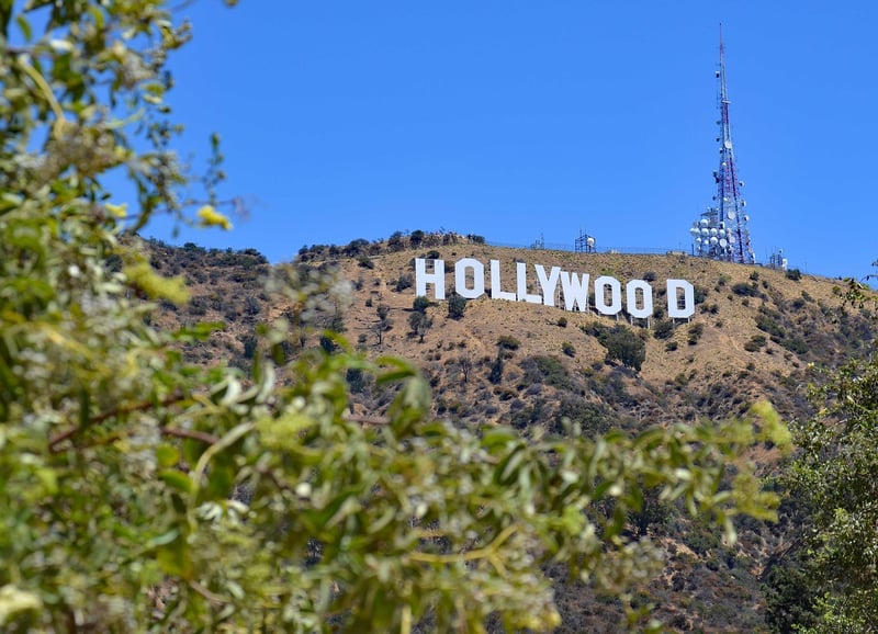 Hollywood Intrigue